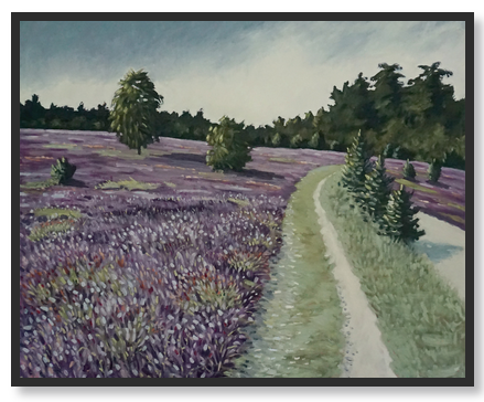 Radenbachtal_Heideweg_nach_Undeloh_2025